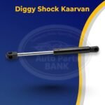 Kaarvan Diggi Shock