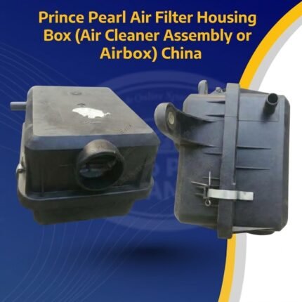 Prince Pearl Air Filter Housing Box (Air Cleaner Assembly or Airbox) China