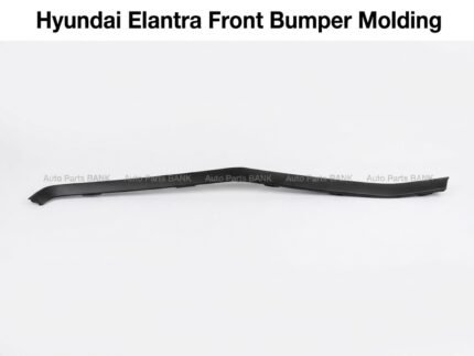 Hyundai Elantra Front Bumper Molding | OEM Fitment
